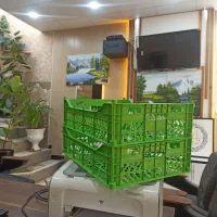 استخدام دو نفر نیروی کار در سبد سازی