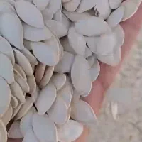 خریدار محصولات محلی