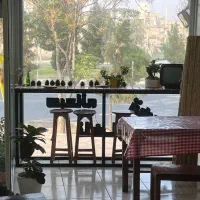 نیروی سالنکار کافه صبحانه