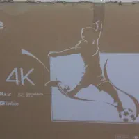 کارتن تلوزیون