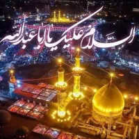 کاروان کربلا زمینی و هوایی درجه الف|تور و چارتر|قم, دورشهر|دیوار