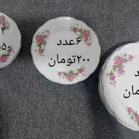 ظروف پذیرایی گل سرخی