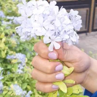 ناخناتو درحد رایگان خوشکل موشکل میکنم|خدمات آرایشگری و زیبایی|شیراز, رازی|دیوار
