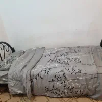 تشک و تخت ۲۵۰۰|تشک تختخواب|اندیمشک, |دیوار