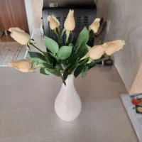 گل رز خارجی