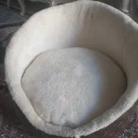 جای خواب و تشک سگ و گربه