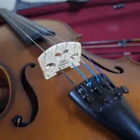 ساز ویولن|ویولن|بابل, |دیوار