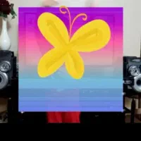 ضبط و باند  دی وی دی|سیستم صوتی خانگی|قزوین, |دیوار