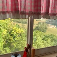 اجاره منزل مسکونی ویلایی|اجارهٔ خانه و ویلا|پل سفید, |دیوار