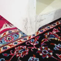 یخچال ۹فوت پارس تمیز همه چیزش فابریکه|یخچال و فریزر|حمیدیه, |دیوار
