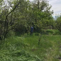 سرایداری در باغ منطقه کردان کرج