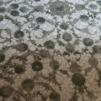 فرش ۹ متری