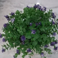 گل های رومیزی