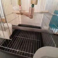 قفس پرنده|لوازم جانبی حیوانات|مشکیندشت, |دیوار