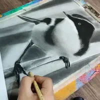 آموزش تخصصی  طراحی و همه تکنیکهای نقاشی