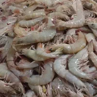 میگو صید روز چابهار|خوردنی و آشامیدنی|اهواز, جانبازان|دیوار