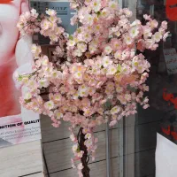 درختچه مصنوعی|گل مصنوعی|ایلام, |دیوار