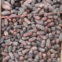 فروش خرمای پیارم|خوردنی و آشامیدنی|قصرشیرین, |دیوار