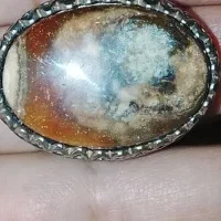 انگشتر عقیق سلیمانی مصور غول پیکر قدیمی|کلکسیون اشیاء عتیقه|اهواز, زیتون کارگری|دیوار