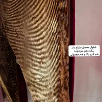 افر ویژه کراپ فقط ۲۴۰|لباس|داراب, |دیوار