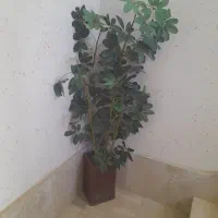 درختچه یا گل مصنوعی