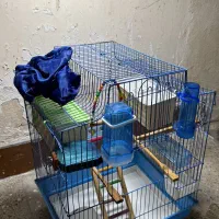 قفس پرنده طوطی و مرغ عشق|لوازم جانبی حیوانات|چمران, |دیوار