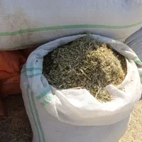 یونجه و کاه و سیلو|خدمات باغبانی و درختکاری|قزوین, |دیوار