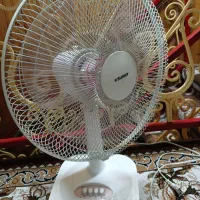 پنکه زمینی نو