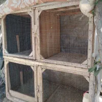 فروش قفس دست ساز