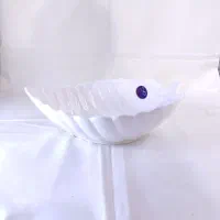 ظروف سرامیکی