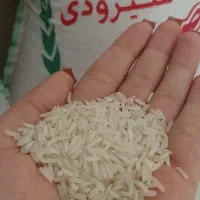 برنج شیرودی درجه یک فریدون‌کنار|خوردنی و آشامیدنی|اراک, |دیوار