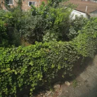 زمین خانه سرا|فروش زمین و ملک کلنگی|طبقده, |دیوار