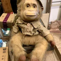 عروسکی خارجی پولیشی