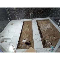 کاشیکاری و....|خدمات پیشه و مهارت|مسجد سلیمان, |دیوار