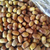 خرمایی زاهدی درجه یک محصول امسال