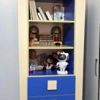 کمد|کتابخانه، شلف، قفسه‌های دیواری|بندرعباس, |دیوار