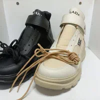 بت کبشانی تولید برادران