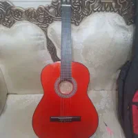 گیتار به همراه کیف