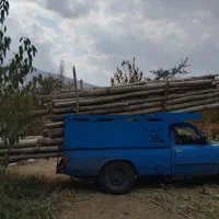 خرید درخت وچوب سقفی در تمام نقاط ارومیه و روستاها