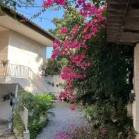 ویلاباغ جنگلی / مستقل / مدارک کامل|فروش خانه و ویلا|امامزاده عبدالله, |دیوار