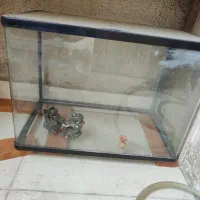 آکواریوم