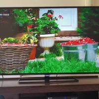 تلویزیون ۵۰ اینچ فیلیپس Philips|تلویزیون و پروژکتور|اصفهان, شهید رجایی|دیوار