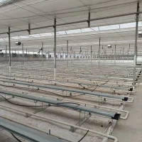 مه پاش صنعتی بابهترین کیفیت قیمت تجهیزات گلخانه ای