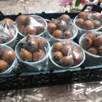 توزیع انواع میوه به مغازه داران و ارگان های دولتی|عمدهفروشی|تهران, میدان میوه و ترهبار مرکزی|دیوار