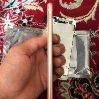 iPhone 8|موبایل|مشهد, حرم مطهر رضوی|دیوار
