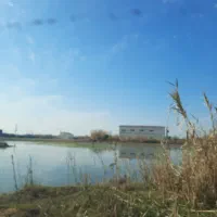 250-متر-زمین-سند-تک-برگ-باغی-لم-یزرع-بابلسر