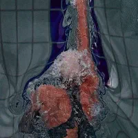 آموزش اصولی وتخصصی شنا بانوان وکودکان