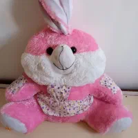 کریر و عروسک هر دوسالم وزیبا|کالسکه و لوازم جانبی|صدرا-فارس, فاز ۱|دیوار