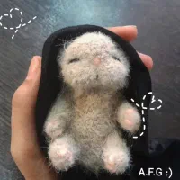 نینی گربه بافتنی