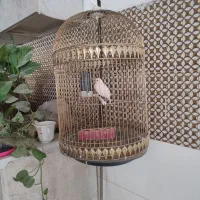 سهره خاکی